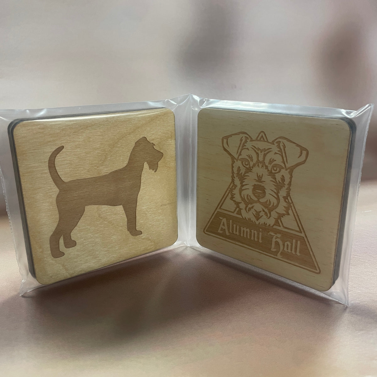 Alumni Hall Coaster Set – Irish Woodworks